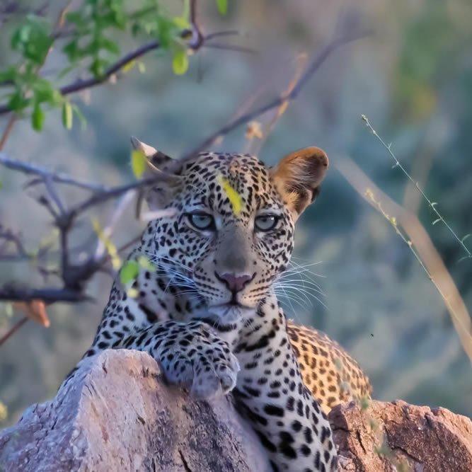 10 Days Luxury Wilderness Escape