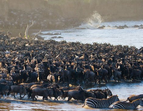 Ngorongoro Safari Lodge