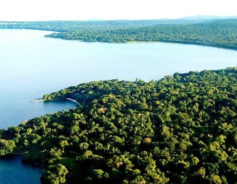 Rubondo Island Chimpanzee Trek