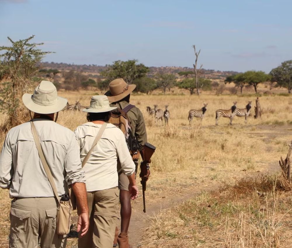 Best Time To Visit Tanzania - Safari, Kilimanjaro, Zanzibar