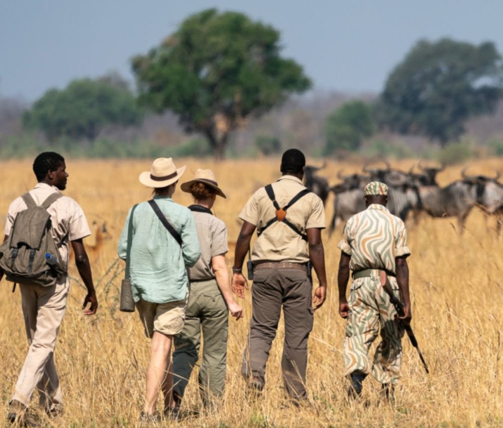 African safari frequently asked questions