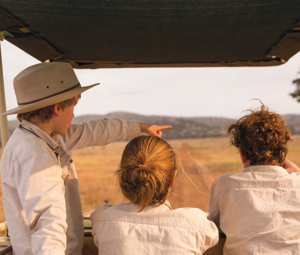 Luxury safari planning in Africa